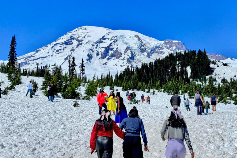 From Seattle: Customized Mount Rainier Tour