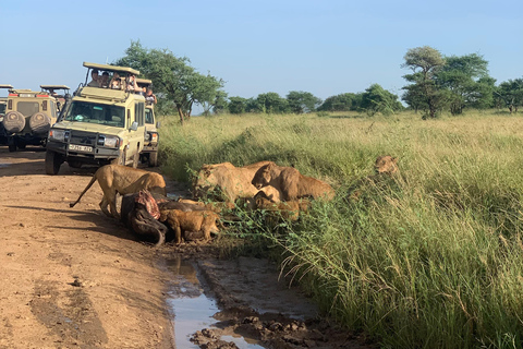 Arusha/Moshi 5 jours de safari en Tanzanie en groupe avec participation à un budget