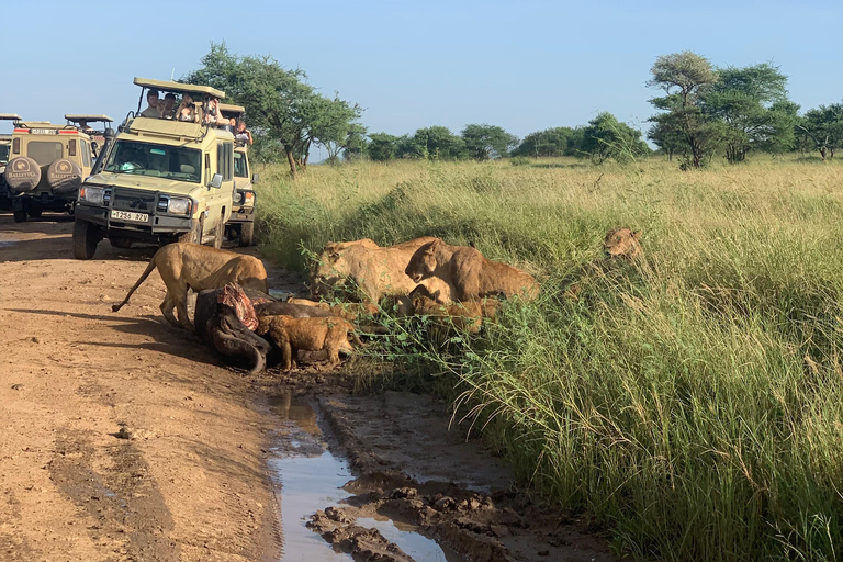 Arusha/Moshi 5 jours de safari en Tanzanie en groupe avec participation à un budget