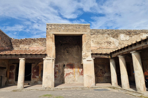 From Naples: Pompeii and Sorrento Day Trip with LunchLunch not included