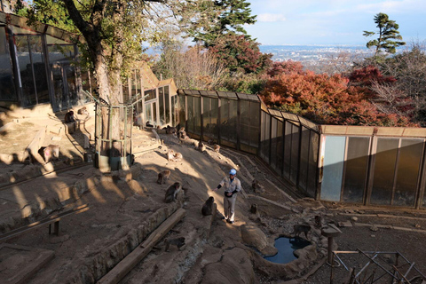 Avontuur op de Takao berg: Ontdek natuur en traditie in Tokio