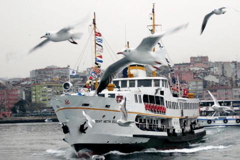 Istanbul : Visite de l'île du Prince avec déjeuner et 2 îles