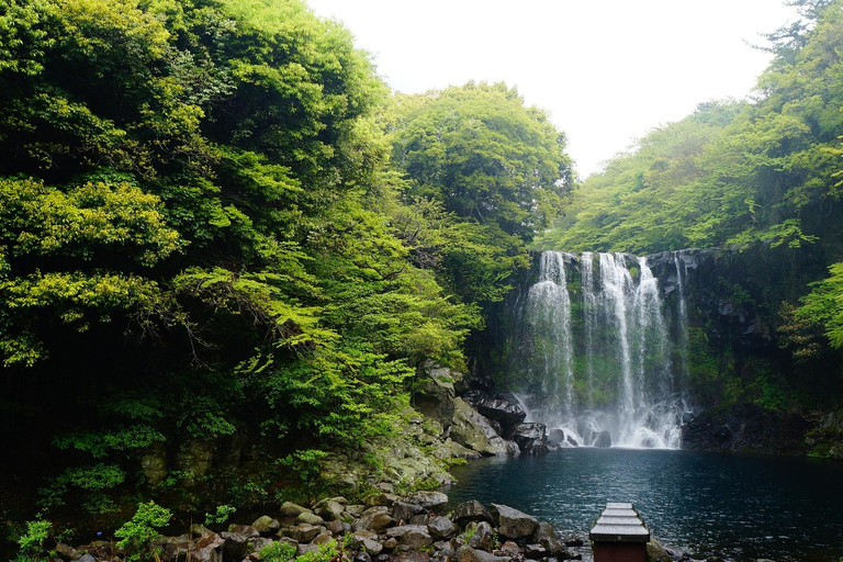 Visite de l'ouest de Jeju avec déjeuner et entrée incluseVisite de l'île de Jeju WEST, avec entrée et déjeuner