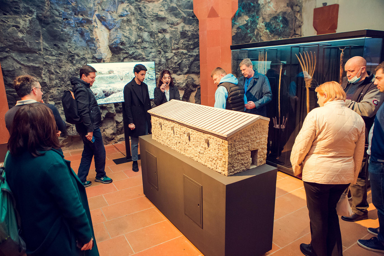 De Yerevan: Tour particular do vinho, visita ao vinhedo, museu do vinhoTour particular com guia de turismo