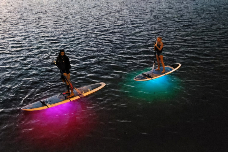 Florida: LED Night Kayak Tour with Comb Jellies Group Tandem Clear Bottom Night Tour