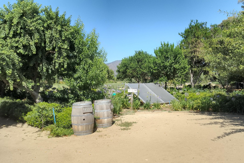 Wineries Tour in Casablanca Valley from Valparaiso Shared tour