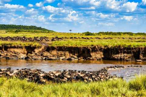 Dagstur i Masai Mara och besök i Masai Village