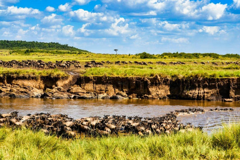 Dagstur i Masai Mara och besök i Masai Village