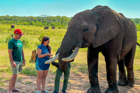 Victoria Falls: Elecrew através dos olhos de um elefante