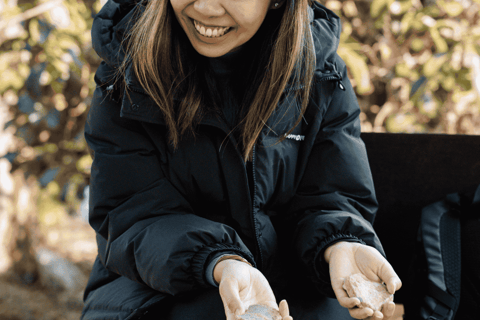 Hong Kong Eco-tourism: Guided Forest Bathing Experience Private Forest Therapy Session