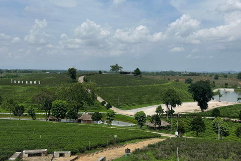 JOIN TOUR 1 day trip around Chiang Rai included lunch buffet