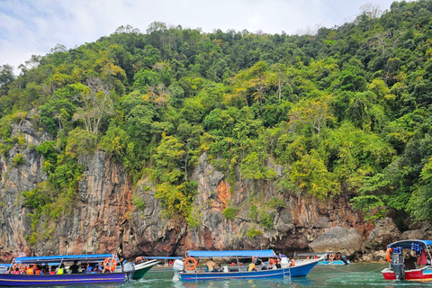 Langkawi: 3-Hour Shared Kilim Geoforest Mangrove Boat Tour