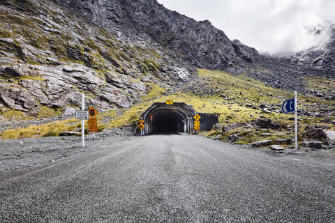 Queenstown: Milford Sound Cruise & Scenic Day Tour
