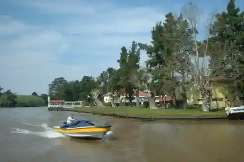 Buenos Aires: Tigre Delta Tour with Navigation and Lunch