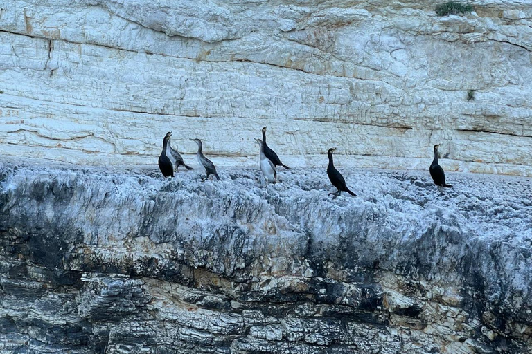 Zakynthos: Private Boat Cruise with Skipper or Self-Drive South with Captain:Turtles, Keri & Secret Caves