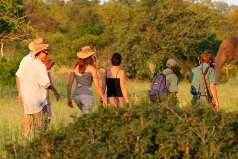 2 dagar 1 natt Selous Fly-in Safari från Zanzibar2 dagar och 1 natt Selous Fly-in Safari från Zanzibar