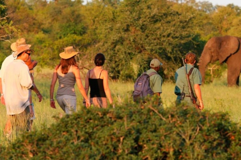 2 dagar 1 natt Selous Fly-in Safari från Zanzibar2 dagar och 1 natt Selous Fly-in Safari från Zanzibar