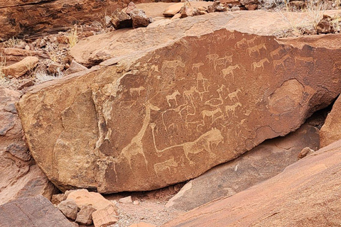 Windhoek: Namibia 12-Day Self-Drive Tour with Lodging