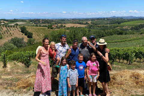 Tour di Siena e San Gimignano in van da Lucca o Pisa