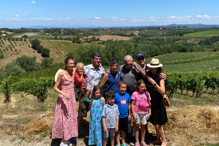 Tour di Siena e San Gimignano in van da Lucca o Pisa