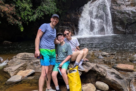 4 Hour Sinharaja Rainforest Tour