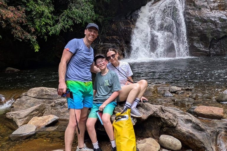 4 Hour Sinharaja Rainforest Tour