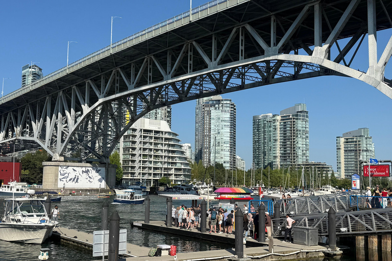 Vancouver: Hop-On Hop-Off City Tour by Car, Small Group