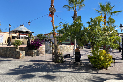 La Paz: Todos Santos Day Trip