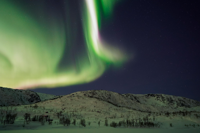 Tromsø: Small-Group Adventurous Northern Lights Hunt
