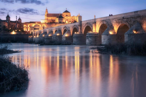 Cordoue : Excursion d&#039;une journée - Découvrez l&#039;histoire et la culture locales