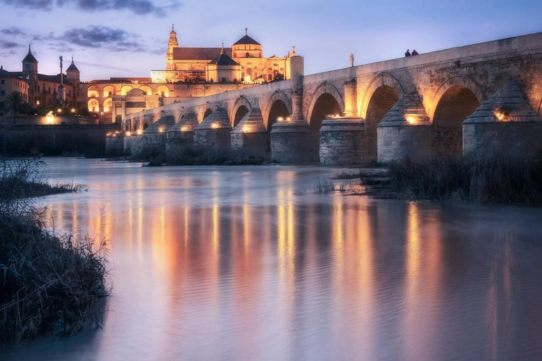 Cordoue : Excursion d&#039;une journée - Découvrez l&#039;histoire et la culture locales