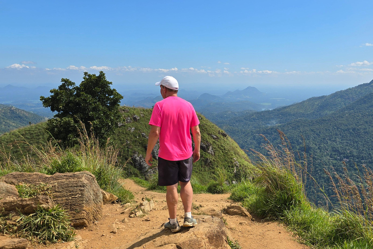Ella: NineArches Bridge,Mini adam's peak and Waterfalls Tour