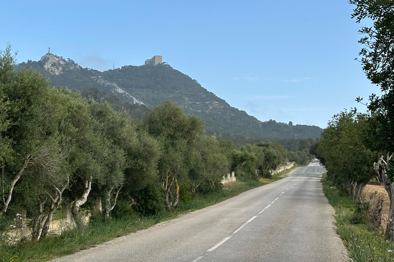 Hiking tour with a dream view of the former monastery of Sant Salvador, 3-4 hours. Hiking tour with fantastic views to the former Sant Salvador monastery 3-4 hrs.
