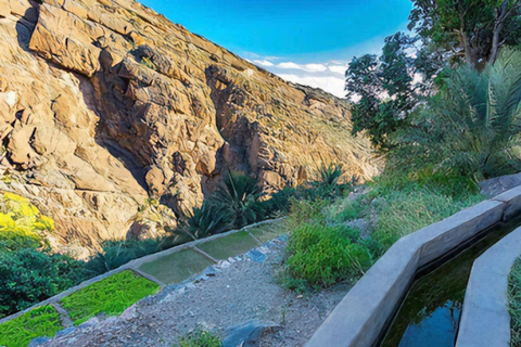 Wadi Dayqah/Wadi Al Arbaeen/Wadi Mayh (excursión de un día) 8 horas