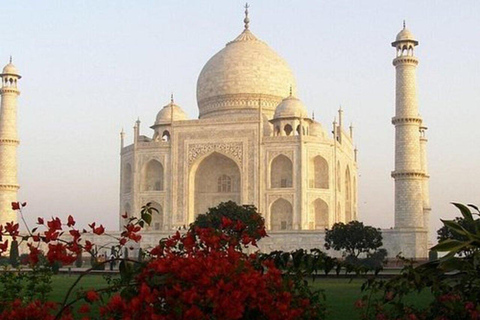 Agra: Taj Mahal Führung Tour Skip-the-Line EntryVon Agra aus: Taj Mahal Führung Tour Skip-the-Line Entry