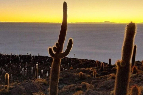 Uyuni : visite à la journée des salines et du désertTour sur la langue anglaise