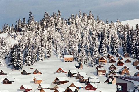 From Batumi: Bakhmaro Winter Tour with Nabeghlavi Stop