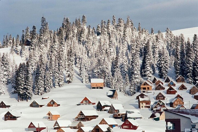 From Batumi: Bakhmaro Winter Tour with Nabeghlavi Stop