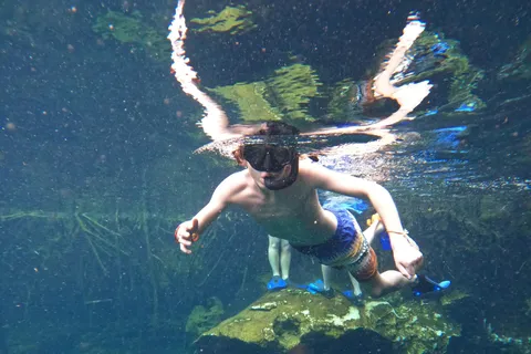 Casa cenote snorkeltour