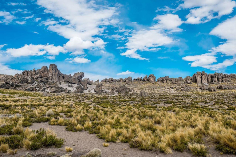 Arequipa: Pillones Waterfalls+ Stone Forest