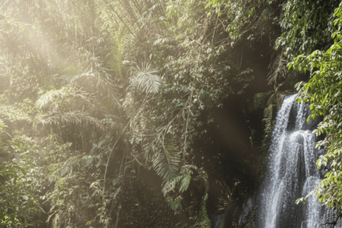Bali: Hidden And New Secret Waterfalls All Including
