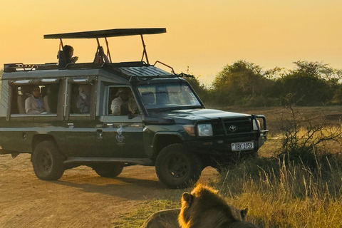 Nairobi Park Safari, Sheldrick's Orphanage & Giraffe Center Shared Drive in Open-Roof Van Game Drive