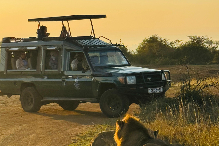 Nairobi Park Safari, Sheldrick's Orphanage & Giraffe Center Shared Drive in Open-Roof Van Game Drive