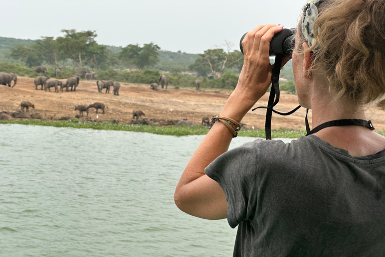 Viagem de 11 dias para fazeres uma caminhada com chimpanzés, seguires os gorilas e veres a vida selvagem