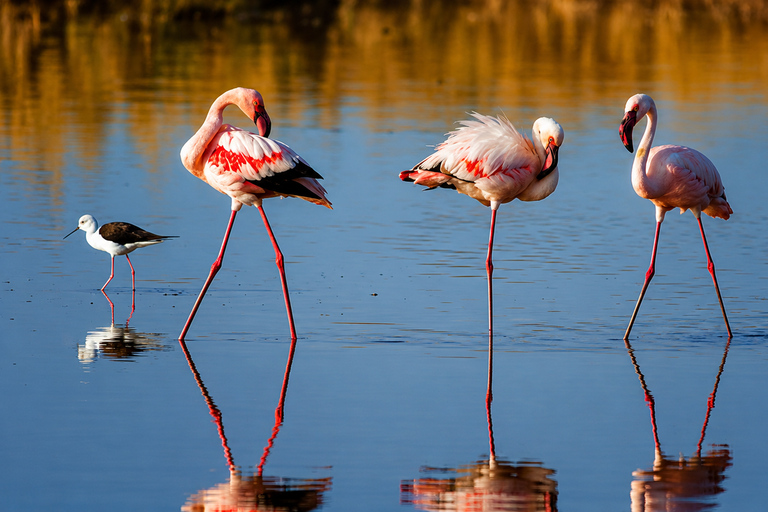 From Arusha: 2-Day Lake Manyara & Tarangire Safari