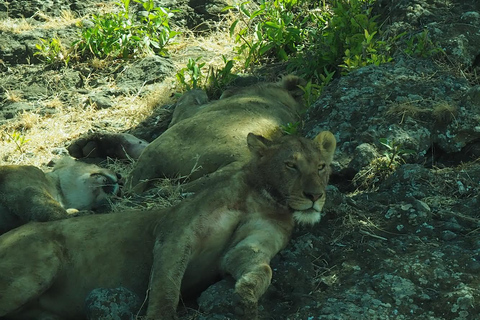 Tanzania en Zanzibar: 12-daags huwelijksreisavontuur