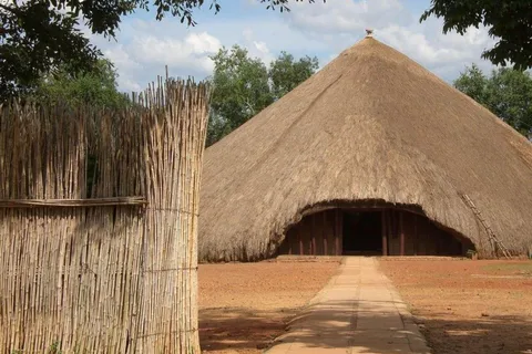 1/2 Day Safari from Durban