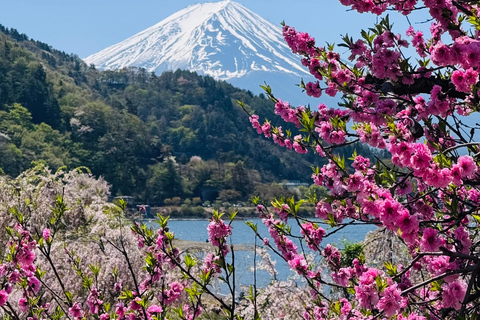 Tokyo: Private Daytrip to Mount Fuji - Fully Customizable Mt Fuji Private Luxury Van Tour (Customizable Experience)