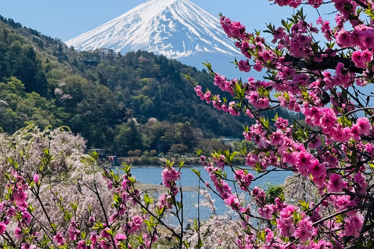 Tokyo: Private Daytrip to Mount Fuji - Fully Customizable Mt Fuji Private Luxury Van Tour (Customizable Experience)