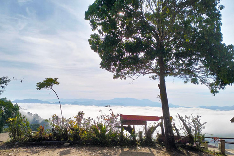 Khao Lak: Sea of Fog on Hill & Sunrise at Khao Khai Nui